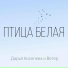 Дарья Киселева и Ветер