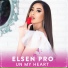 Elsen Pro