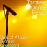 African System Orchestra