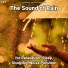 Calming Sounds, Rain Sounds, Nature Sounds