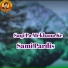 Sami Pardis