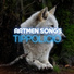 Artmen Songs