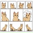 Lofi Cat