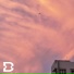 Disrot