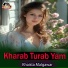 Khaista Malgawar