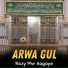 Arwa Gul