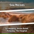 Coastal Sounds, Ocean Sounds, Nature Sounds