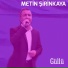 Metin Şirinkaya