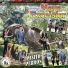 Marimba Orquesta Maya Excelsior