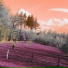 Sewe Beatz