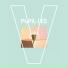 Pupil les