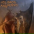 Андрефас при уч. Holidaos