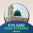 Junaid Ali