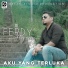 Ferdy Hasan