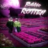 RottenEnamel