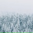 White Snow