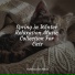 RelaxMyCat, Pet Care Club, Cats Music Zone