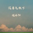 施沐阳