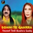Yousaf Tedi feat. Bushra Sadiq