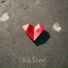 KaSim