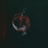 Tim North, Chris Stylez