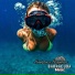 Barracuda Music