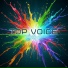 Иван Амарцев, Top Voice team