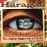 El Haragán y Compañía