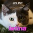 ARTURBEATS