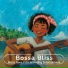 Bossa Nova V KV Recording Entertainment