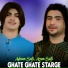Adnan Safi, Ayan Safi