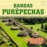 Bandas Purépechas