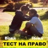 Вова Нова