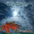 Nik Grey