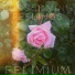 Felimium
