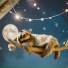 Sleepy Sloth Music