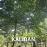 Kaliban