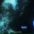 ROKHAN