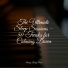 Study Power, Peaceful Piano, Piano para Dormir