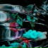 ewlxray