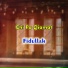 Fidullah