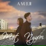 AMER