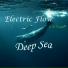 Electric Flow