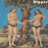 Dipper