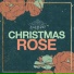 Christmas Rose feat. 박서랑