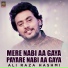 Ali Raza Hashmi