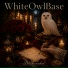 WhiteOwlBase