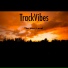 TrackVibes