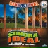 Marimba Orquesta Sonora Ideal