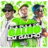 MC VININ, DJ LP MALVADÃO, DJ CLEBER